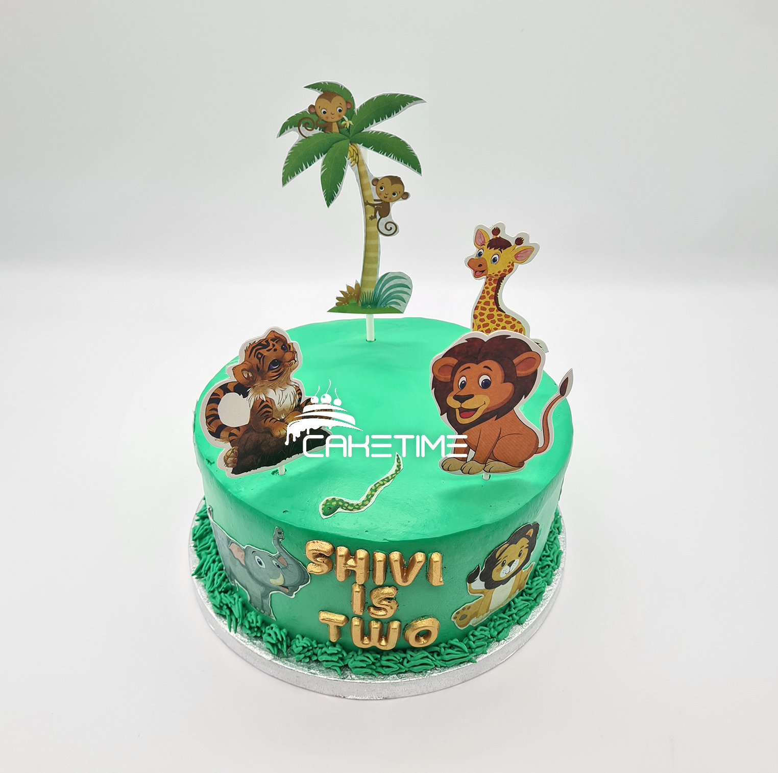 Jungle Theme Cake